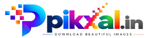 pikxal.in